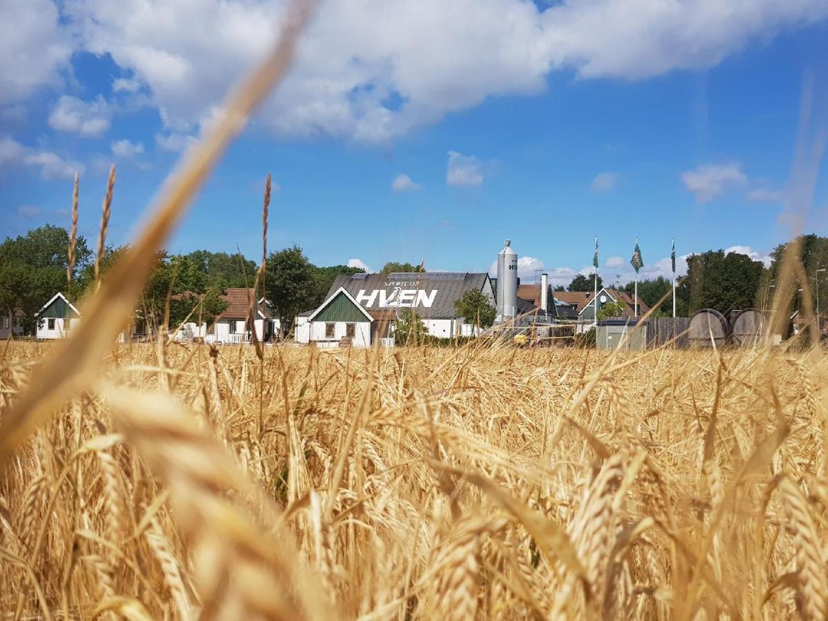 Spirit Of Hven Backafallsbyn Sankt Ibb Zewnętrze zdjęcie